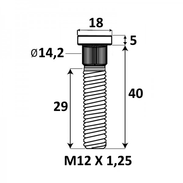 Presuojama smeigė M12x1,25x40mm Ø14,2