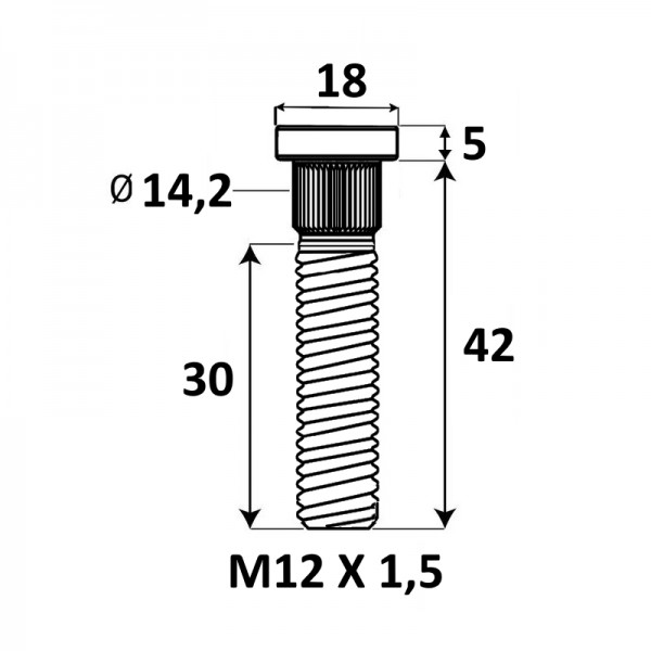 Presuojama smeigė M12x1,5x42mm Ø14,2