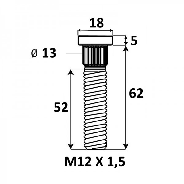 Presuojama smeigė M12x1,5x62mm Ø13