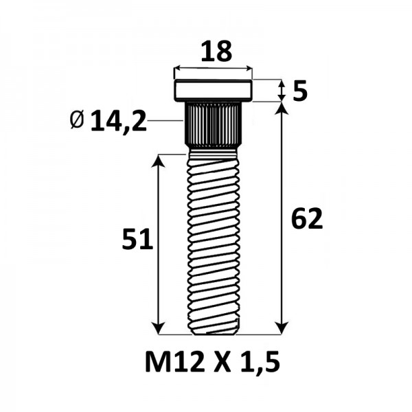 Presuojama smeigė M12x1,5x62mm Ø14,2